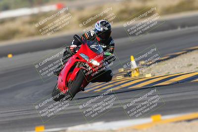 media/Oct-05-2024-Race Pace (Sat) [[aa7b44e117]]/2-Turn 11 (815am)/